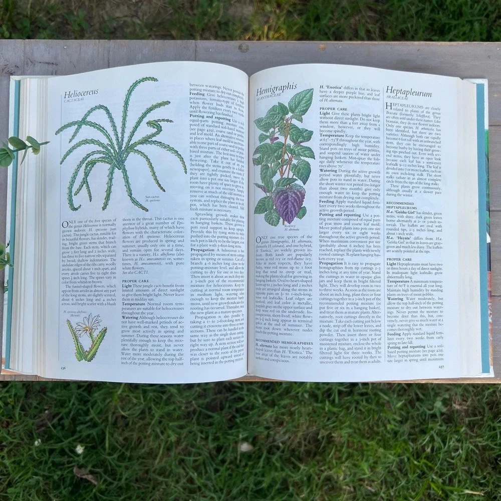 Vintage 1970s Readers Digest House Plant Coffee Table Book